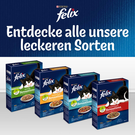 Felix Inhome Sensations s kuřecím masem a zeleninou