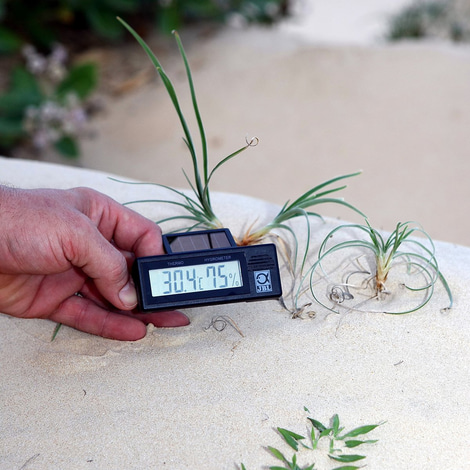 JBL TerraSand substrát pro pouštní terária – 7,5 kg, bílý