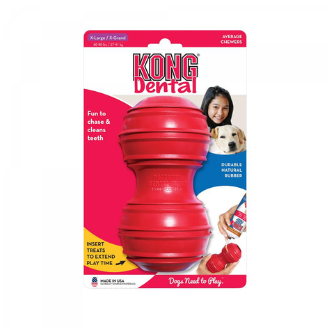 KONG Dental