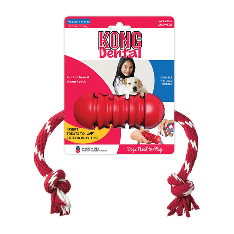 KONG Dental s lanem