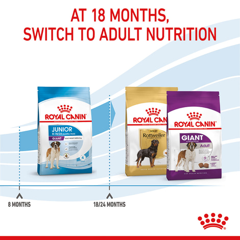 ROYAL CANIN GIANT Junior granule pro štěňata psů velmi velkých plemen