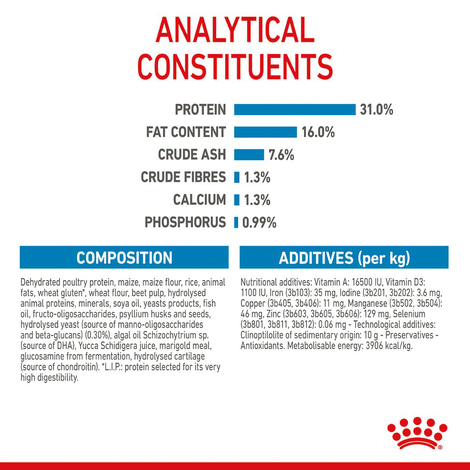 ROYAL CANIN GIANT Junior granule pro štěňata psů velmi velkých plemen