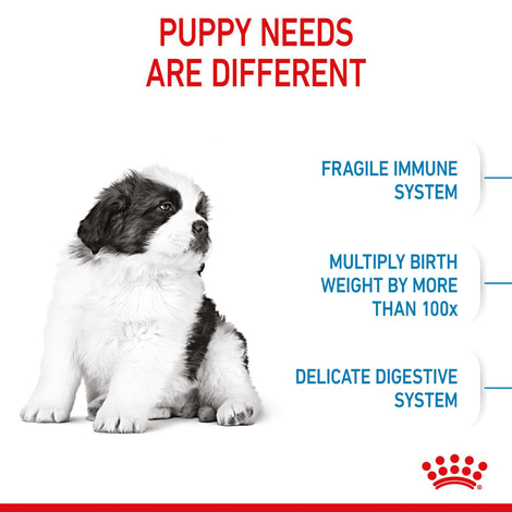 ROYAL CANIN GIANT Puppy pro štěňata velkých plemen