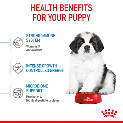ROYAL CANIN GIANT Puppy pro štěňata velkých plemen