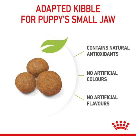 ROYAL CANIN GIANT Puppy pro štěňata velkých plemen