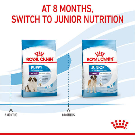 ROYAL CANIN GIANT Puppy pro štěňata velkých plemen