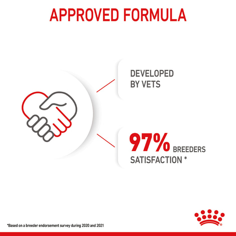 ROYAL CANIN MAXI Puppy