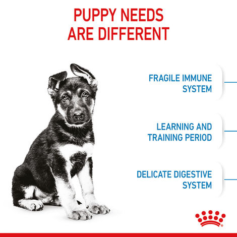ROYAL CANIN MAXI Puppy