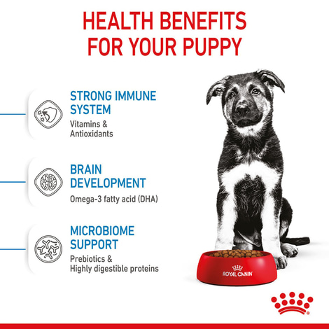 ROYAL CANIN MAXI Puppy