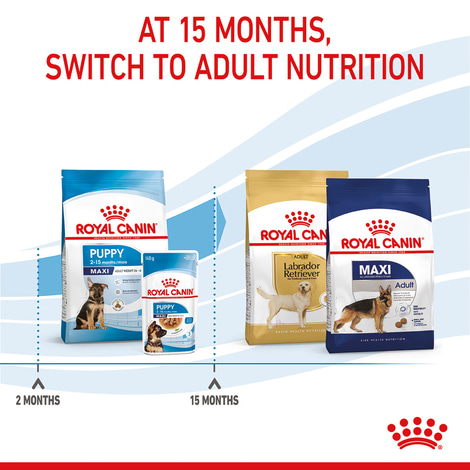ROYAL CANIN MAXI Puppy