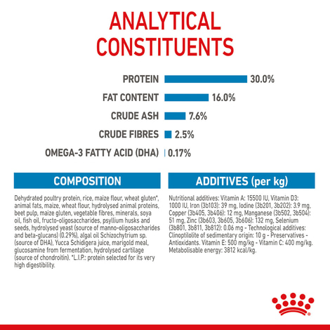 ROYAL CANIN MAXI Puppy