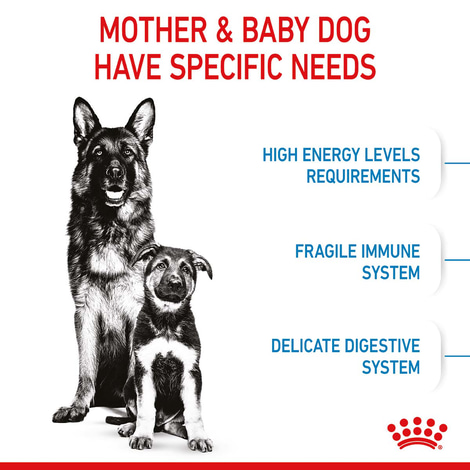 ROYAL CANIN MAXI Starter
