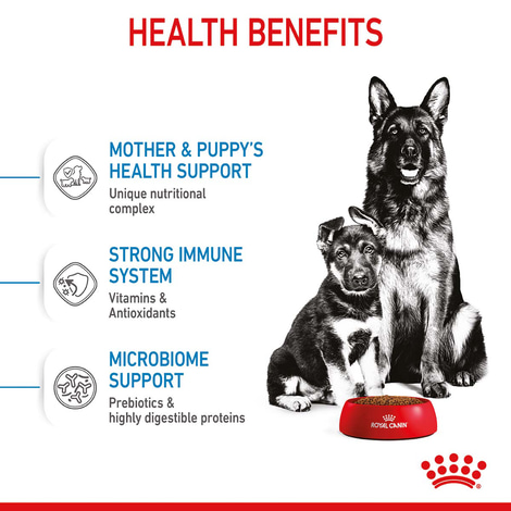 ROYAL CANIN MAXI Starter