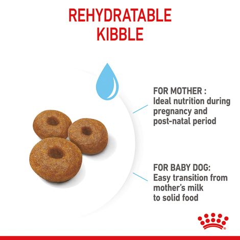 ROYAL CANIN MAXI Starter