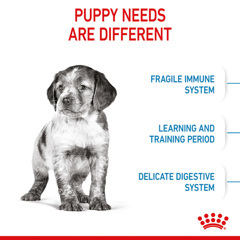 ROYAL CANIN MEDIUM Puppy