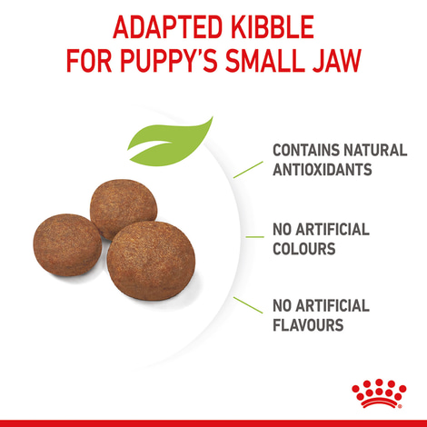 ROYAL CANIN MEDIUM Puppy