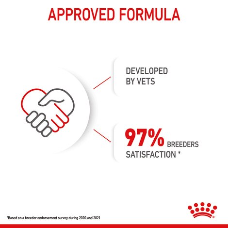 ROYAL CANIN MINI Puppy