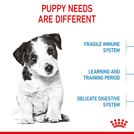 ROYAL CANIN MINI Puppy