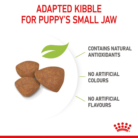 ROYAL CANIN MINI Puppy