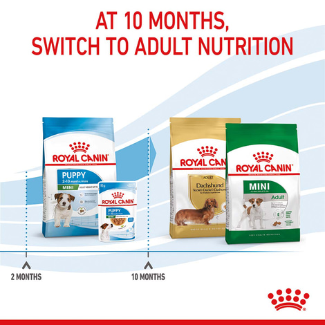 ROYAL CANIN MINI Puppy