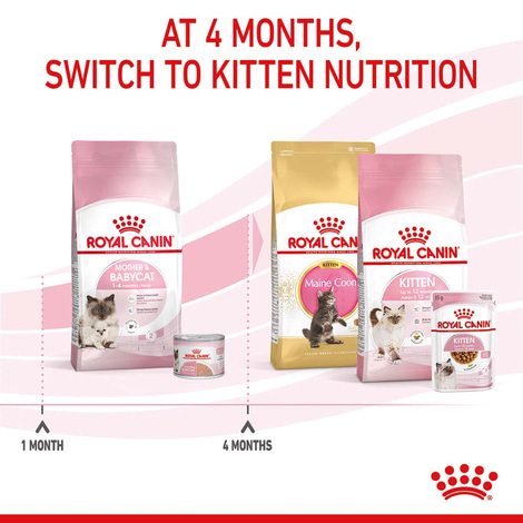 Royal Canin Mother & Babycat