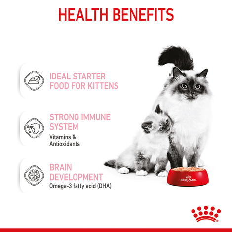 ROYAL CANIN MOTHER & BABYCAT Mousse pro březí kočky a koťata