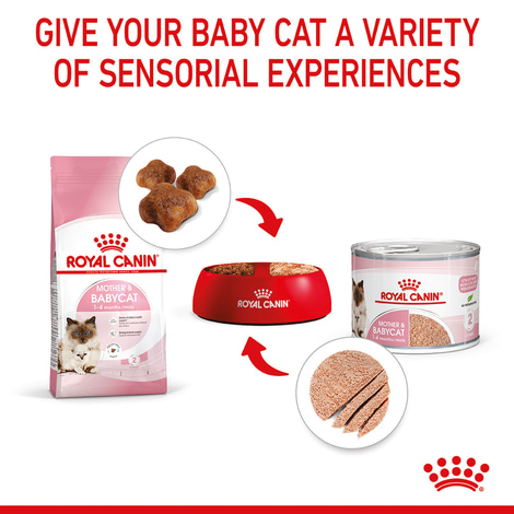 ROYAL CANIN MOTHER & BABYCAT Mousse pro březí kočky a koťata