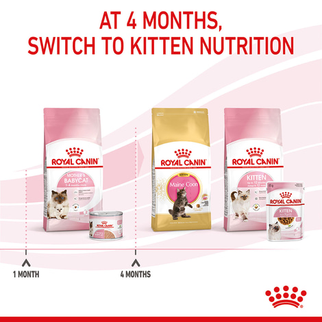 ROYAL CANIN MOTHER & BABYCAT Mousse pro březí kočky a koťata