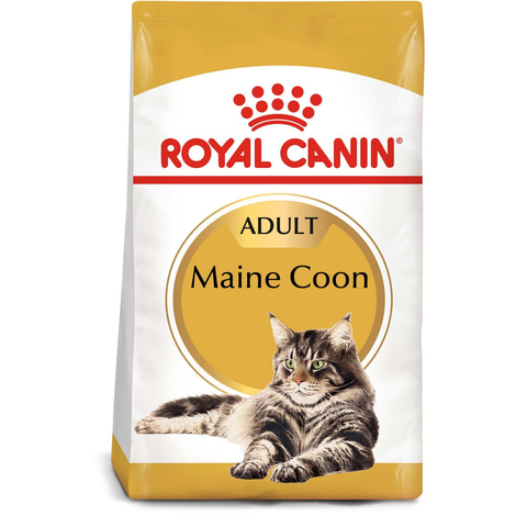 ROYAL CANIN Maine Coon Adult granule pro kočky