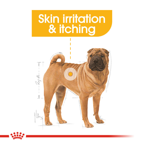 ROYAL CANIN DERMACOMFORT MEDIUM granule pro středně velké psy s citlivou kůží