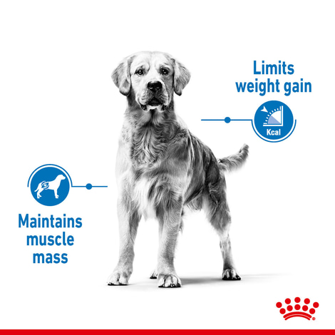 Granule ROYAL CANIN LIGHT WEIGHT CARE pro kočky se sklonem k nadváze