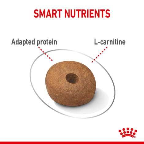 Granule ROYAL CANIN LIGHT WEIGHT CARE pro kočky se sklonem k nadváze