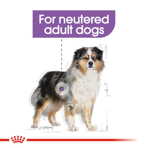 ROYAL CANIN STERILISED MEDIUM granule pro kastrované psy středně velkých plemen