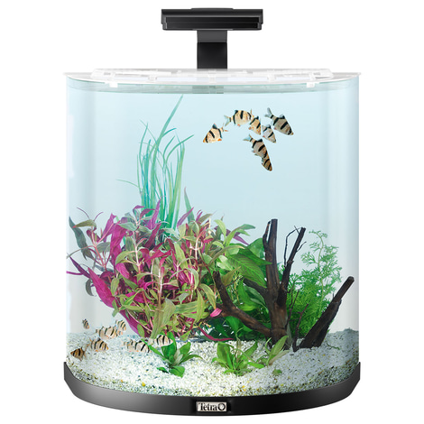 Tetra AquaArt Explorer Line Halfmoon kompletní sada 60 l