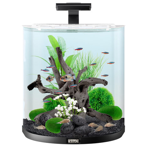 Tetra AquaArt Explorer Line Halfmoon kompletní sada 60 l