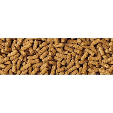 Tetra Pond Wheatgerm Sticks