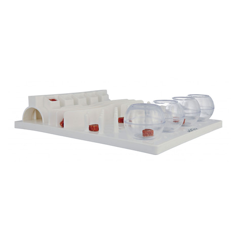 Cat Activity Fun Board