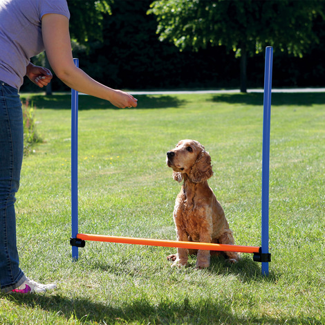 Trixie Dog Activity Agility překážka