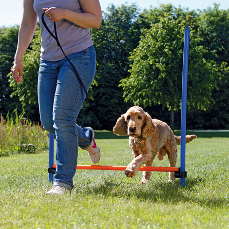 Trixie Dog Activity Agility překážka