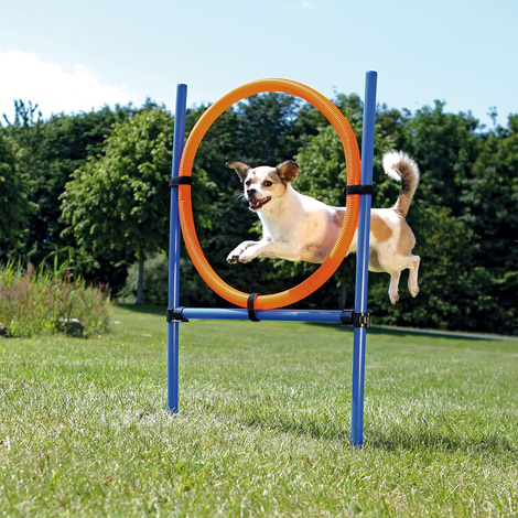 Trixie Dog Activity Agility kruh