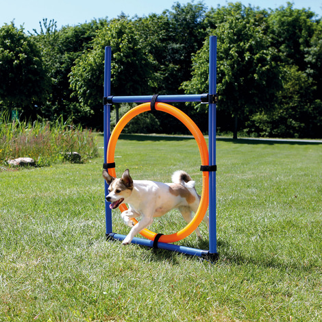 Trixie Dog Activity Agility kruh