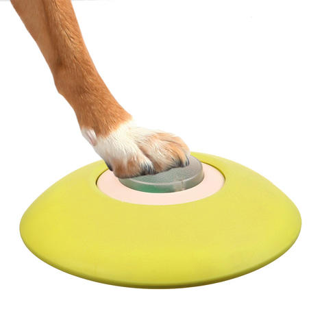 Trixie Dog Activity Memory Trainer 3.0 strategická hra