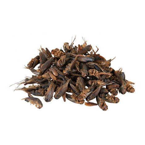 Trixie cvrčci 25 g