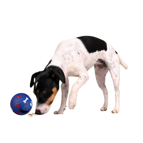 Trixie Snacky míček hračka pro psy z plastu