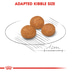 ROYAL CANIN X-SMALL Adult