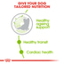 ROYAL CANIN X-SMALL Ageing 12+