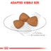 ROYAL CANIN X-SMALL Ageing 12+