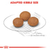 ROYAL CANIN X-SMALL Adult 8+