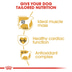 ROYAL CANIN Boxer Adult granule pro psy