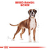 ROYAL CANIN Boxer Adult granule pro psy
